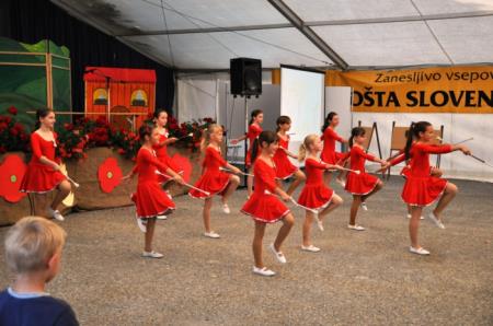 KNOBLEHARJEVO 2011 - Živ Žav 15